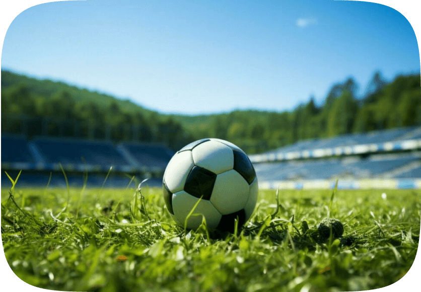 ball on the grass, футбольный мяч на траве