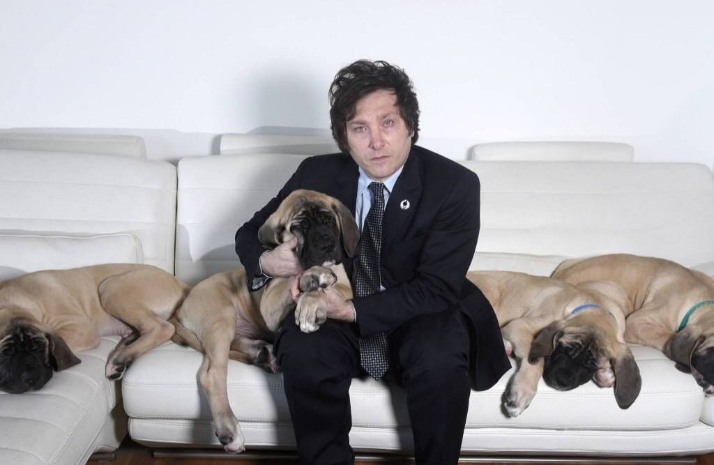 Новый президент Аргентины создал клонов своего псаХавьер Милей только стал главой Аргентины, но давно известен в стране двумя вещами: своей эксцентричностью и любовью к собакам.