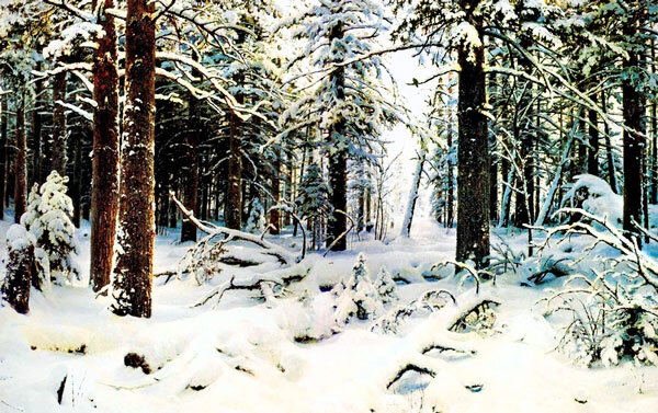 Лес. Зима (фото из открытых источников)