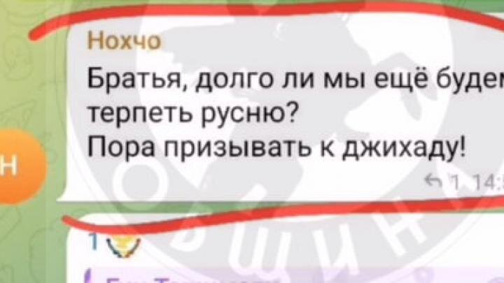 Фото: скриншот телеграм-канала "Русская община"